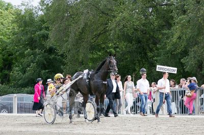 IMG_104_0064.jpg