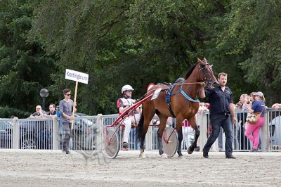 IMG_104_0073.jpg