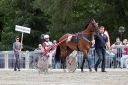 Dateiname=IMG_104_0070.jpg
Dateigröße=142KB
Abmessungen: 750x500
hinzugefügt am: 06. Juli 2016 IMG_104_0070.jpg