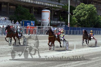 20160619_r02_61.jpg