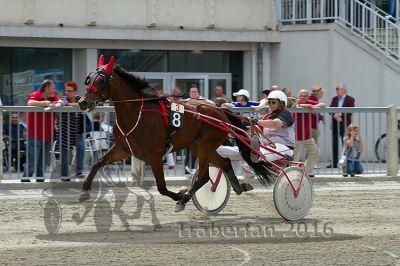 20160619_r03_031.jpg