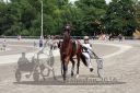 Dateiname=20160619_r05_1_011.jpg
Dateigröße=138KB
Abmessungen: 750x500
hinzugefügt am: 06. Juli 2016 20160619_r05_1_011.jpg