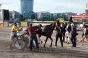 Dateiname=20160619_r12_108.jpg
Dateigröße=144KB
Abmessungen: 750x500
hinzugefügt am: 06. Juli 2016 20160619_r12_108.jpg