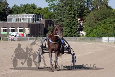 20160624_r03_90.jpg