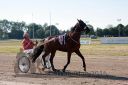 Dateiname=20160624_r03_05.jpg
Dateigröße=117KB
Abmessungen: 750x500
hinzugefügt am: 06. Juli 2016 20160624_r03_05.jpg