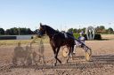 Dateiname=20160624_r07_112.jpg
Dateigröße=129KB
Abmessungen: 750x500
hinzugefügt am: 06. Juli 2016 20160624_r07_112.jpg