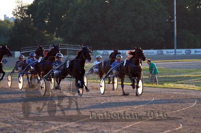 20160624_r10_040.jpg