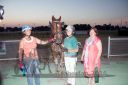 Dateiname=20160624_r12_76.jpg
Dateigröße=87KB
Abmessungen: 750x500
hinzugefügt am: 06. Juli 2016 20160624_r12_76.jpg