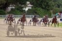 Dateiname=20160717_R02_086.jpg
Dateigröße=130KB
Abmessungen: 750x500
hinzugefügt am: 08. August 2016 20160717_R02_086.jpg