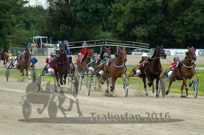 20160717_R03_097.jpg