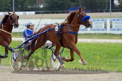 20160717_R04_055.jpg