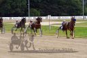 Dateiname=20160717_R04_069.jpg
Dateigröße=119KB
Abmessungen: 750x500
hinzugefügt am: 08. August 2016 20160717_R04_069.jpg