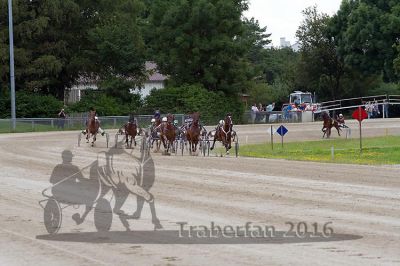 20160717_R06_31.jpg