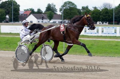 20160717_R07_026.jpg