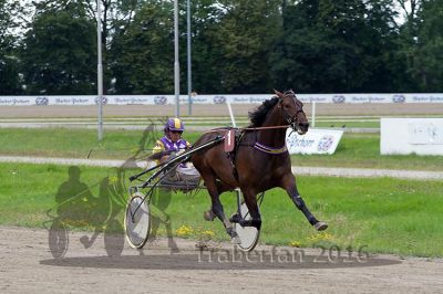 20160717_R07_096.jpg