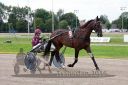 Dateiname=20160717_R07_007.jpg
Dateigröße=116KB
Abmessungen: 750x500
hinzugefügt am: 08. August 2016 20160717_R07_007.jpg