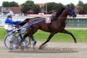 Dateiname=20160717_R07_050.jpg
Dateigröße=108KB
Abmessungen: 750x500
hinzugefügt am: 08. August 2016 20160717_R07_050.jpg