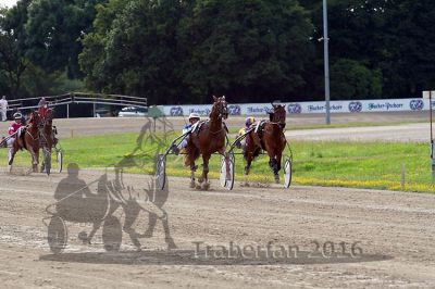 20160717_R09_069.jpg