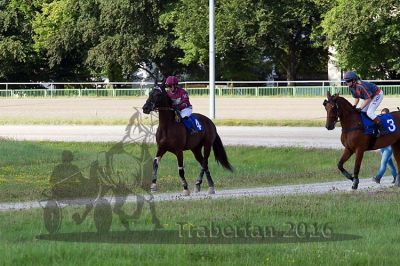 20160717_R10_035.jpg