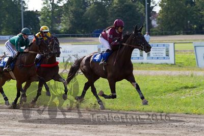 20160717_R10_062.jpg
