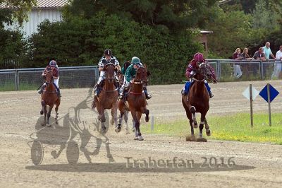 20160717_R10_070.jpg