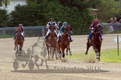 20160717_R10_071.jpg