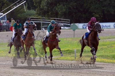 20160717_R10_080.jpg