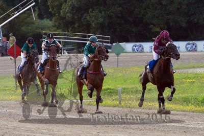20160717_R10_081.jpg