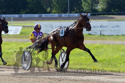 20160717_R11_077.jpg