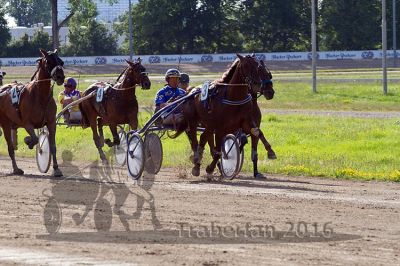 20160717_R11_099.jpg