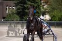Dateiname=20160814_r04_095.jpg
Dateigröße=96KB
Abmessungen: 750x500
hinzugefügt am: 28. August 2016 20160814_r04_095.jpg