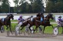 Dateiname=20160814_r09_54.jpg
Dateigröße=121KB
Abmessungen: 750x500
hinzugefügt am: 28. August 2016 20160814_r09_54.jpg