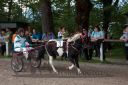 Dateiname=20160815_r01_004.jpg
Dateigröße=119KB
Abmessungen: 750x500
hinzugefügt am: 28. August 2016 20160815_r01_004.jpg