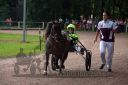 Dateiname=20160815_r01_021.jpg
Dateigröße=111KB
Abmessungen: 750x500
hinzugefügt am: 28. August 2016 20160815_r01_021.jpg