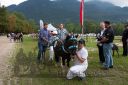 Dateiname=20160815_r01_112.jpg
Dateigröße=130KB
Abmessungen: 750x500
hinzugefügt am: 28. August 2016 20160815_r01_112.jpg