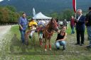 Dateiname=20160815_r01_151.jpg
Dateigröße=146KB
Abmessungen: 750x500
hinzugefügt am: 28. August 2016 20160815_r01_151.jpg