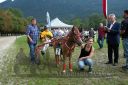 Dateiname=20160815_r01_153.jpg
Dateigröße=145KB
Abmessungen: 750x500
hinzugefügt am: 28. August 2016 20160815_r01_153.jpg