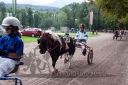 Dateiname=20160815_r01_164.jpg
Dateigröße=142KB
Abmessungen: 750x500
hinzugefügt am: 28. August 2016 20160815_r01_164.jpg