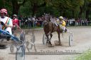 Dateiname=20160815_r03_071.jpg
Dateigröße=139KB
Abmessungen: 750x500
hinzugefügt am: 28. August 2016 20160815_r03_071.jpg