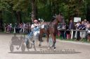 Dateiname=20160815_r03_099.jpg
Dateigröße=124KB
Abmessungen: 750x500
hinzugefügt am: 28. August 2016 20160815_r03_099.jpg