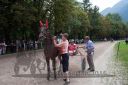 Dateiname=20160815_r03_108.jpg
Dateigröße=138KB
Abmessungen: 750x500
hinzugefügt am: 28. August 2016 20160815_r03_108.jpg