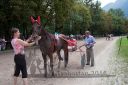 Dateiname=20160815_r03_112.jpg
Dateigröße=142KB
Abmessungen: 750x500
hinzugefügt am: 28. August 2016 20160815_r03_112.jpg
