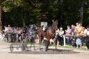 Dateiname=20160815_r04_097.jpg
Dateigröße=143KB
Abmessungen: 750x500
hinzugefügt am: 28. August 2016 20160815_r04_097.jpg