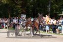 Dateiname=20160815_r04_099.jpg
Dateigröße=139KB
Abmessungen: 750x500
hinzugefügt am: 28. August 2016 20160815_r04_099.jpg