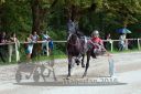Dateiname=20160815_r06_007.jpg
Dateigröße=138KB
Abmessungen: 750x500
hinzugefügt am: 28. August 2016 20160815_r06_007.jpg