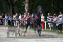 Dateiname=20160815_r06_101.jpg
Dateigröße=123KB
Abmessungen: 750x500
hinzugefügt am: 28. August 2016 20160815_r06_101.jpg