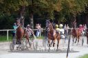 Dateiname=20160815_r07_022.jpg
Dateigröße=145KB
Abmessungen: 750x500
hinzugefügt am: 28. August 2016 20160815_r07_022.jpg