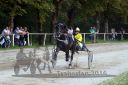 Dateiname=20160815_r07_046.jpg
Dateigröße=122KB
Abmessungen: 750x500
hinzugefügt am: 28. August 2016 20160815_r07_046.jpg