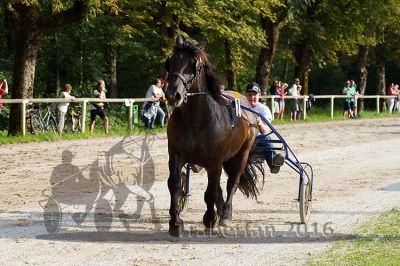 20160815_r08_34.jpg