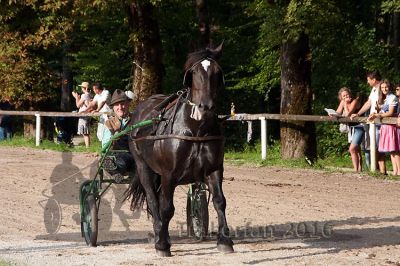 20160815_r08_66.jpg